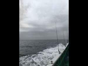 友人の誘いで東京湾のアジ釣りに挑戦しました。