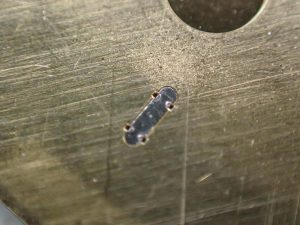 ダイヤルの裏からカシメ直します。