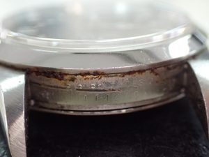 サビが出ています。