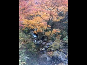 密を避け、東京の奥多摩に行ってきました。