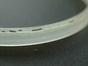 交換時期を大きく超えて使用したために、本来の柔軟性が失われ脆くなり、ヒビが入っています。