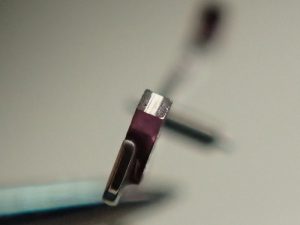 アンクルのツメ石もオイルが切れているうえ、汚れが付いています。