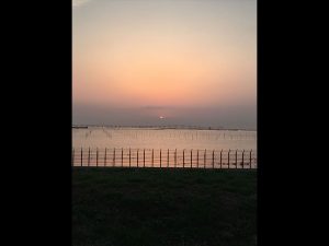 千葉県にあるカルフォルニア、千葉フォルニアに行きました。